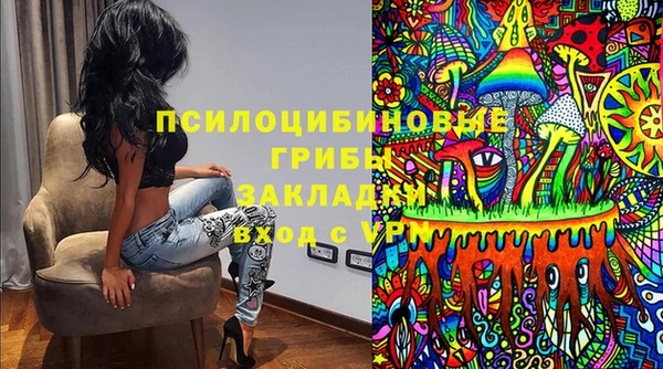 ГАЛЛЮЦИНОГЕННЫЕ ГРИБЫ Володарск