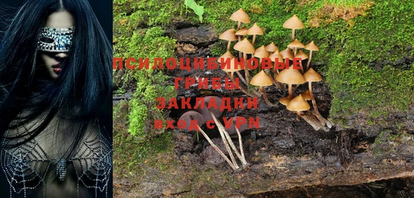 сатива Волосово