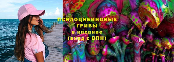 ГАЛЛЮЦИНОГЕННЫЕ ГРИБЫ Володарск