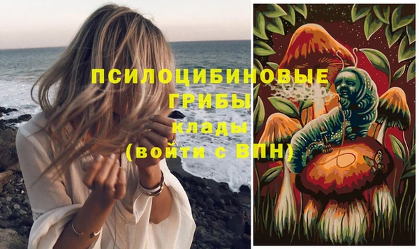 ГАЛЛЮЦИНОГЕННЫЕ ГРИБЫ Володарск