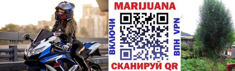 Марихуана план Красный Сулин